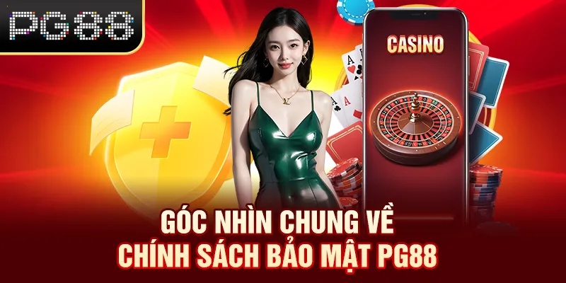 Góc nhìn chung về chính sách bảo mật PG88